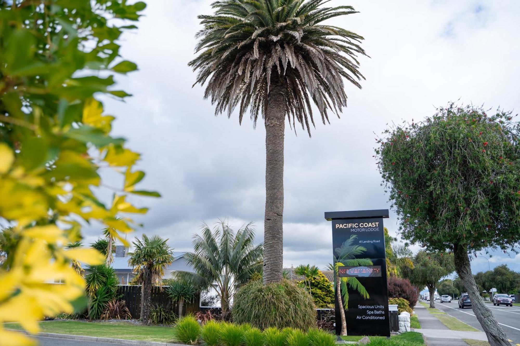 Pacific Coast Motor Lodge Whakatane Bagian luar foto